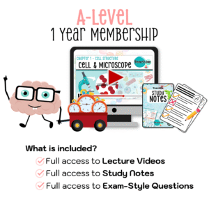 A-Level 1 Year Membership