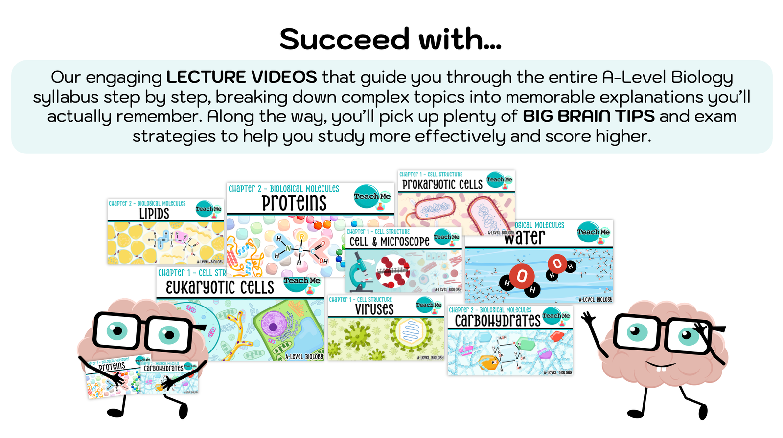 Screenshot 2025-08-28 at 11.06.45