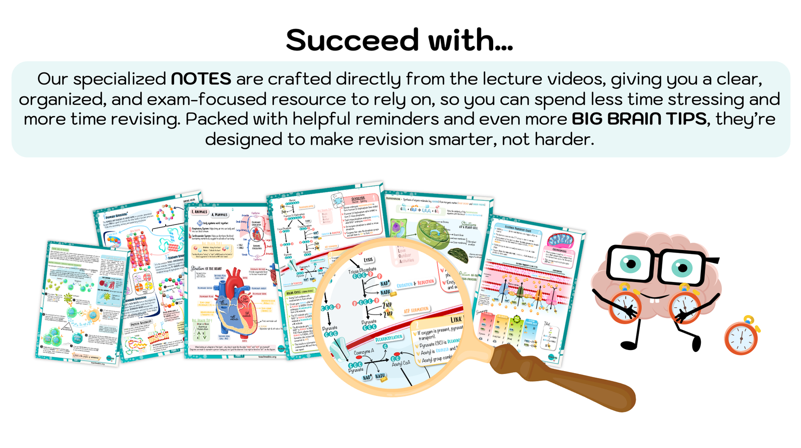 Screenshot 2025-08-28 at 11.06.53