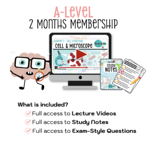 A-Level 2 Months Membership