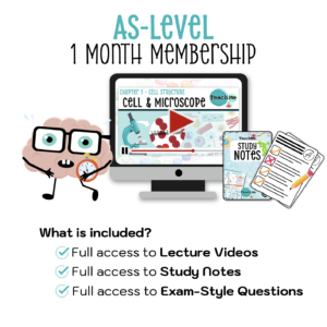AS-Level 1 Month Membership